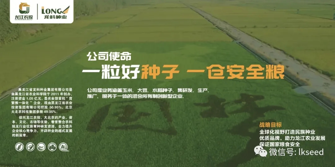 1590051548952040.jpg 640.webp (4).jpg